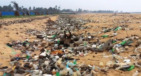 SL Nets 180 Polluters in Environmental Blitz